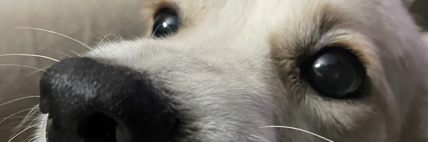 mmmliiz's profile banner image