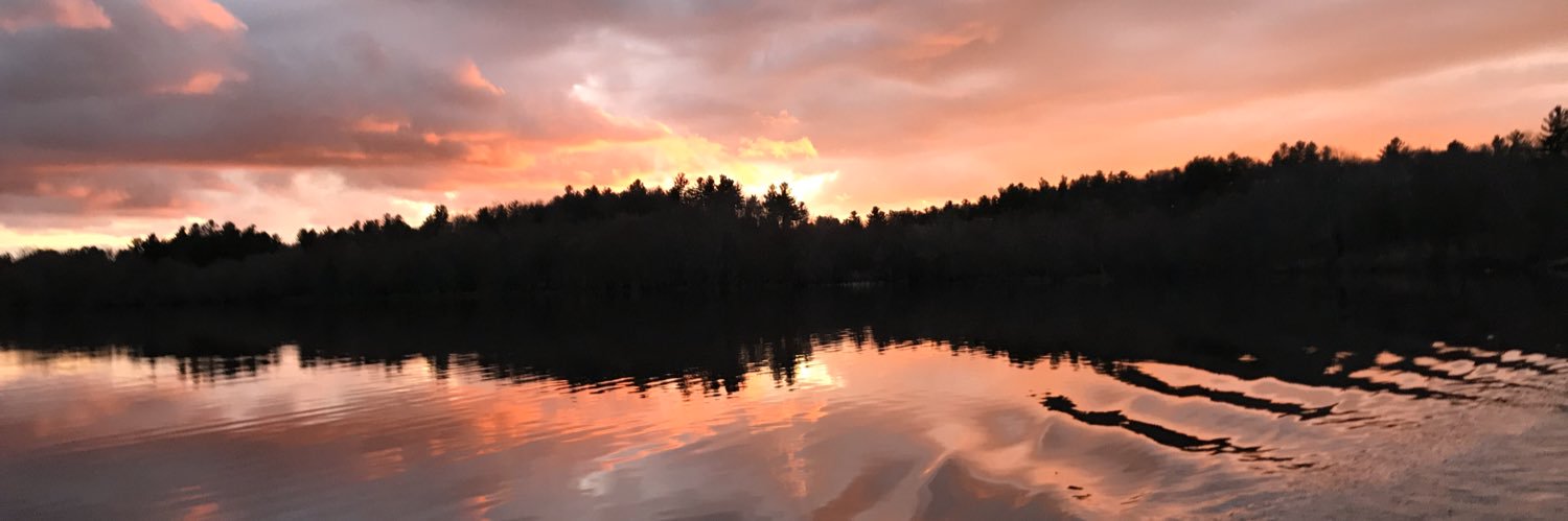 AralyseJohnson's profile banner image