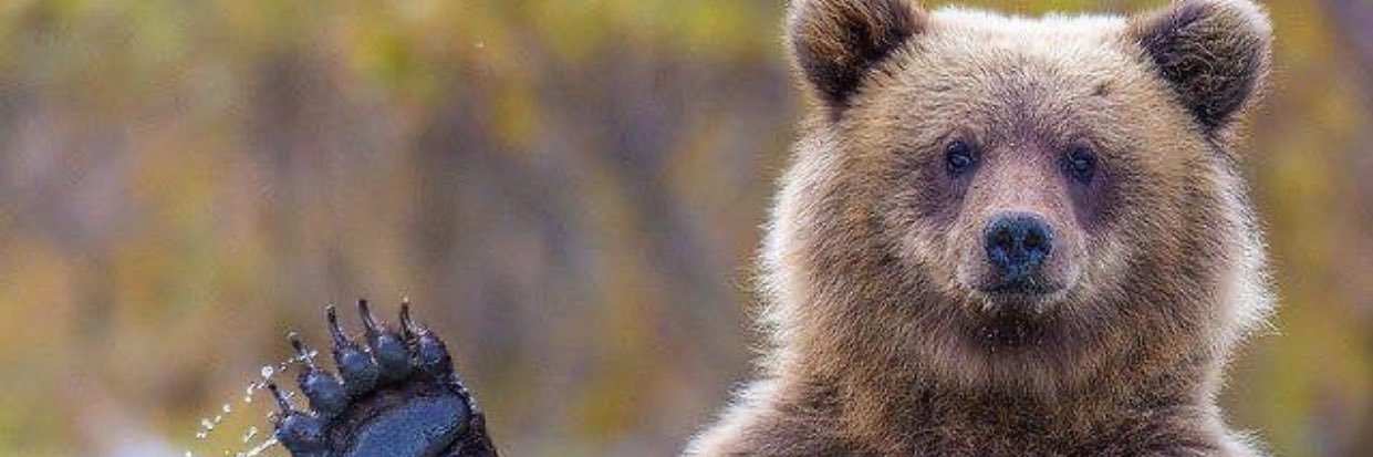sam_magee62's profile banner image