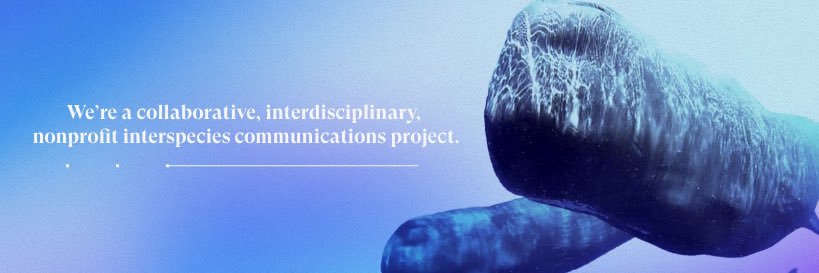 Project CETI's banner