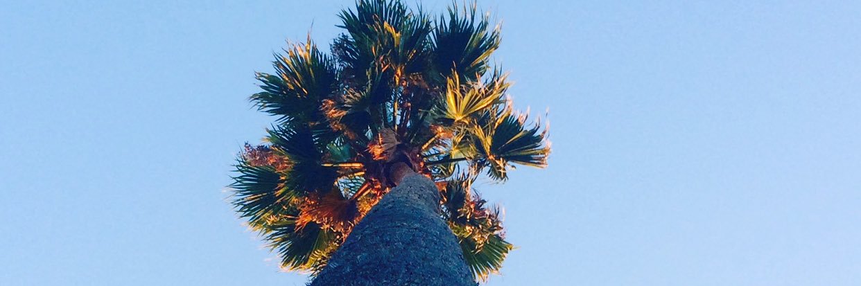 CaleyCakes_'s profile banner image