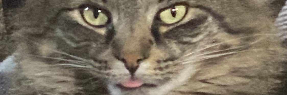 Nathanerr's profile banner image