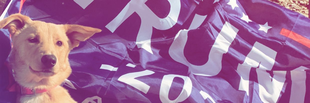 TylerJarrell4's profile banner image