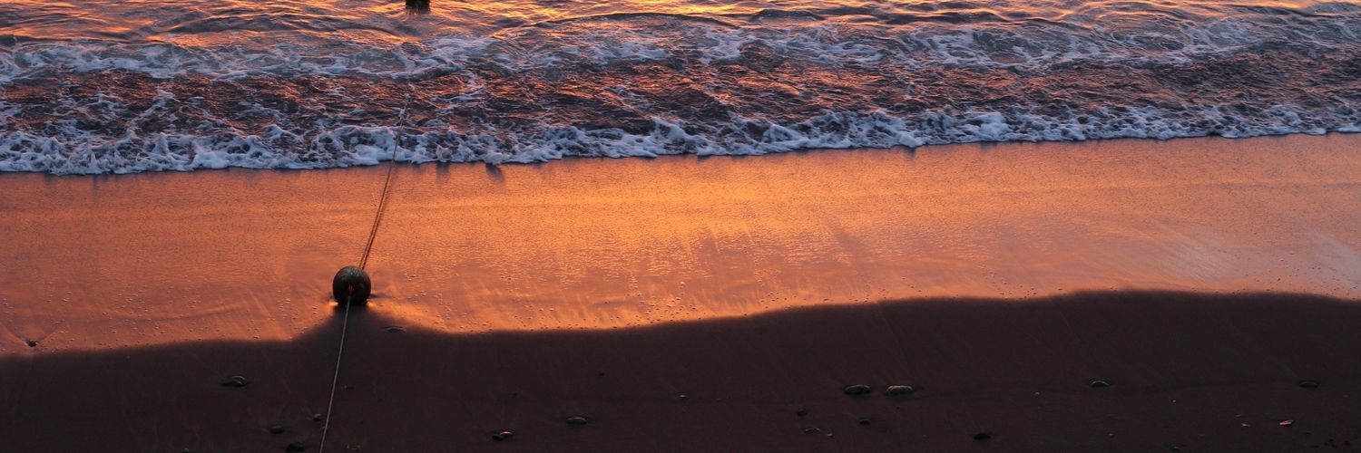 Isota's profile banner image