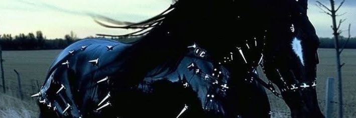 diretora techno banner