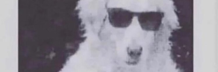 JGreen_212's profile banner image