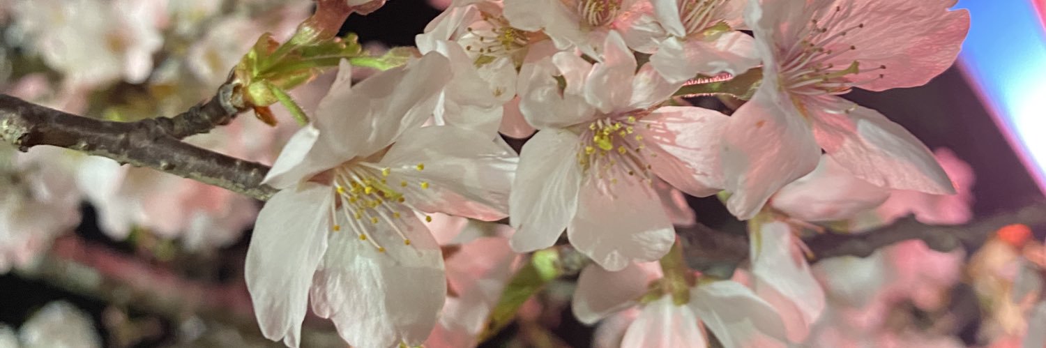 👻るる【琉瑠】😈 banner