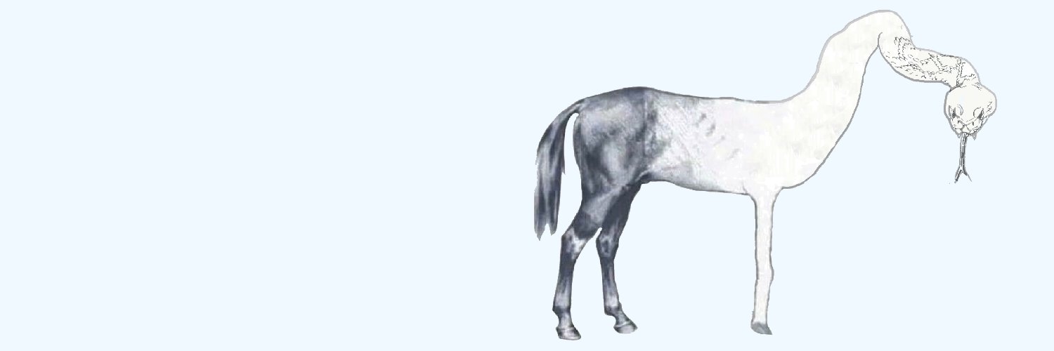 AutNaught's profile banner image
