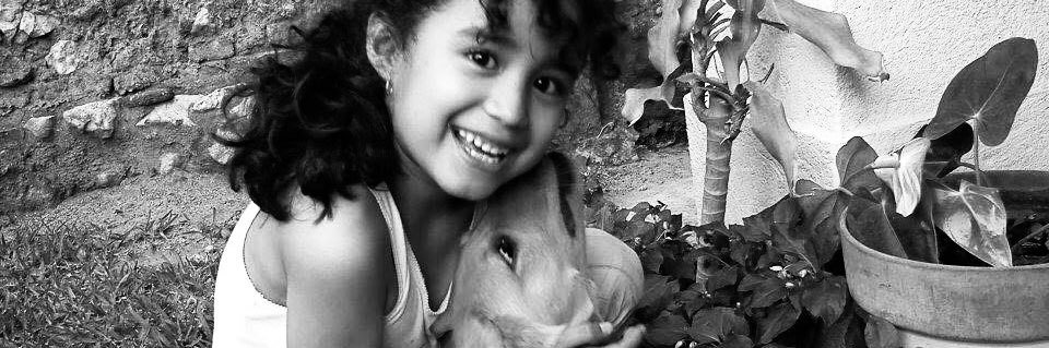 Larsarabia's profile banner image