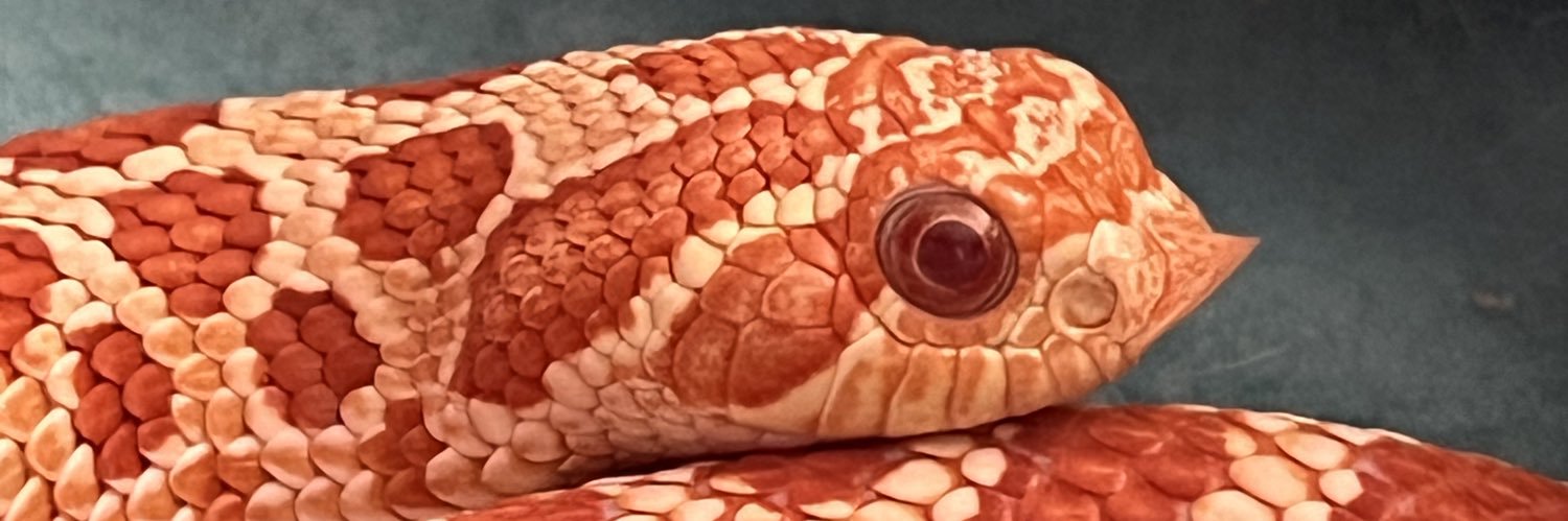 Helen | Embracing my inner fujo banner