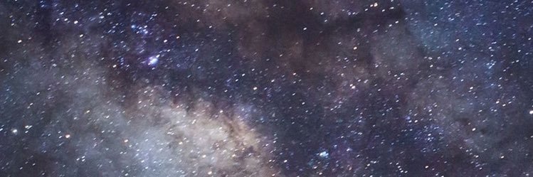 dayvn banner