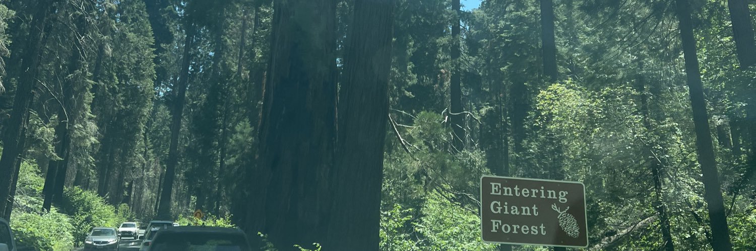 elizabethrreys's profile banner image