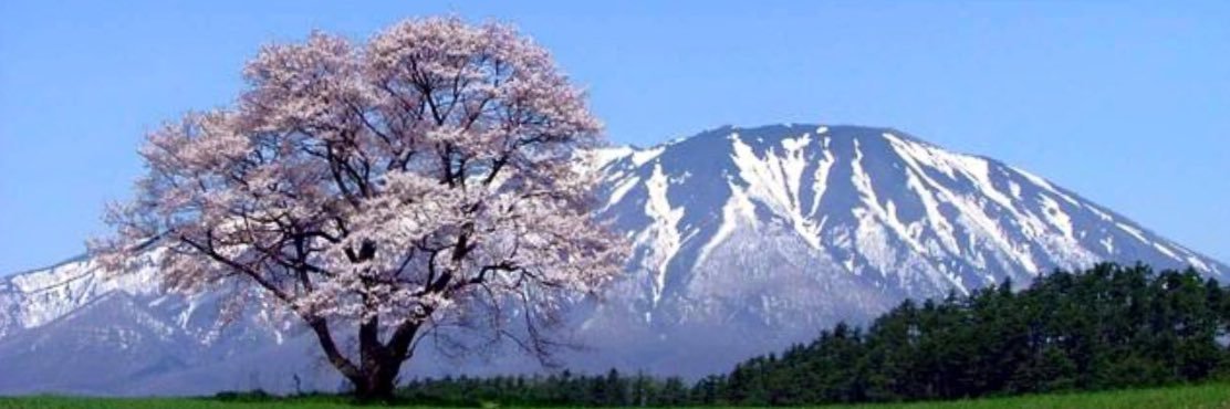 § す み か § banner