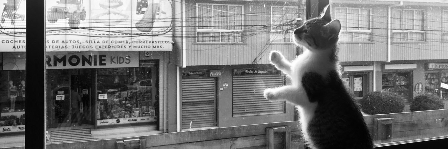 pintojaime's profile banner image