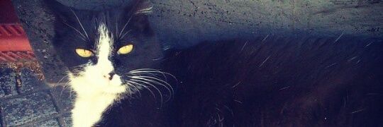 . banner