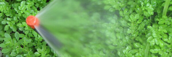 MiamiUrbanHort Profile Banner