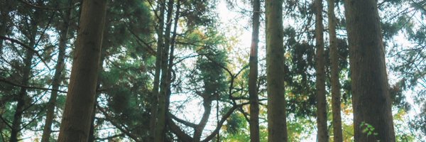 Fushi_fu Profile Banner