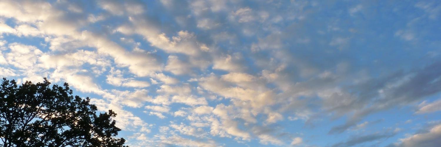 MariaHolmin's profile banner image