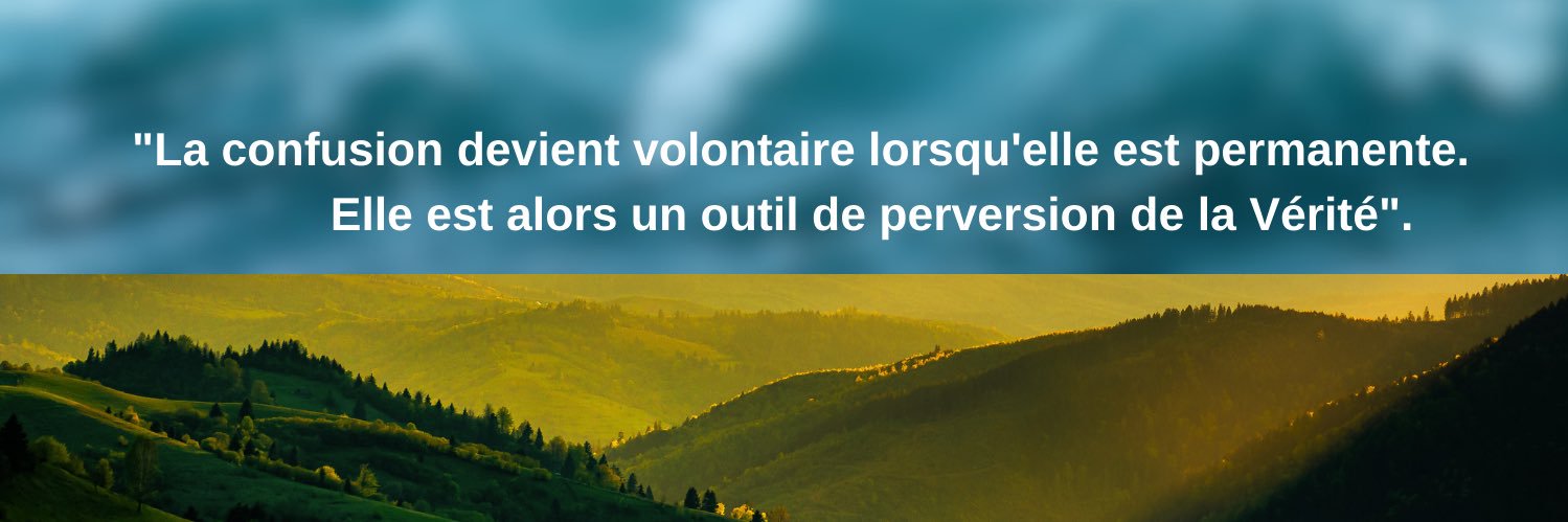 Armel Joubert des Ouches's banner