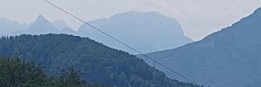 Reichenberger banner