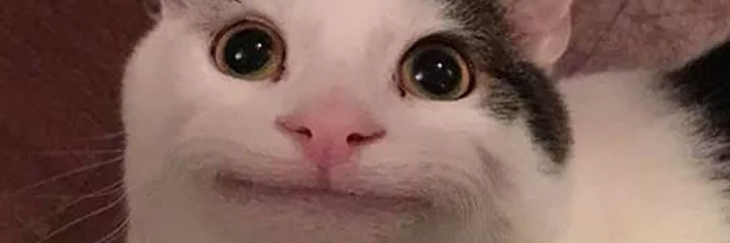 Kringi1's profile banner image