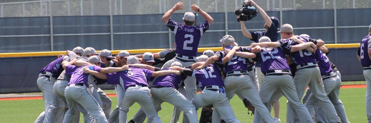 ⚾️Hamburg Baseball⚾️ banner