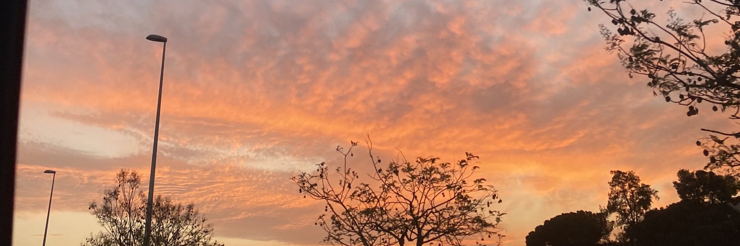 BrunnasilvaR's profile banner image