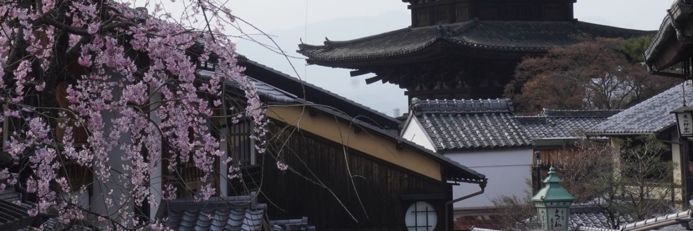 絲（プルるる） banner