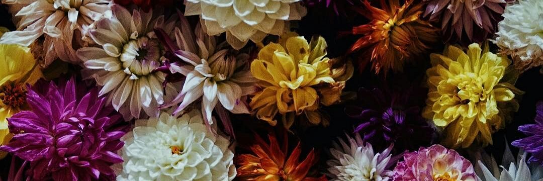 solamentemay's profile banner image