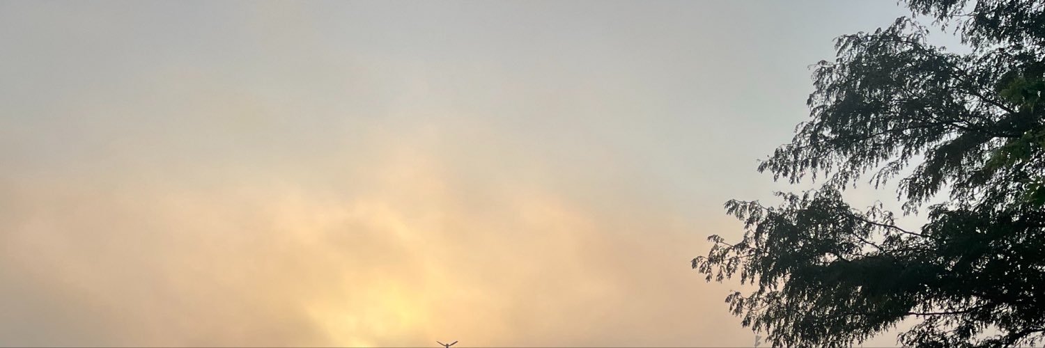 pinkdoll31's profile banner image
