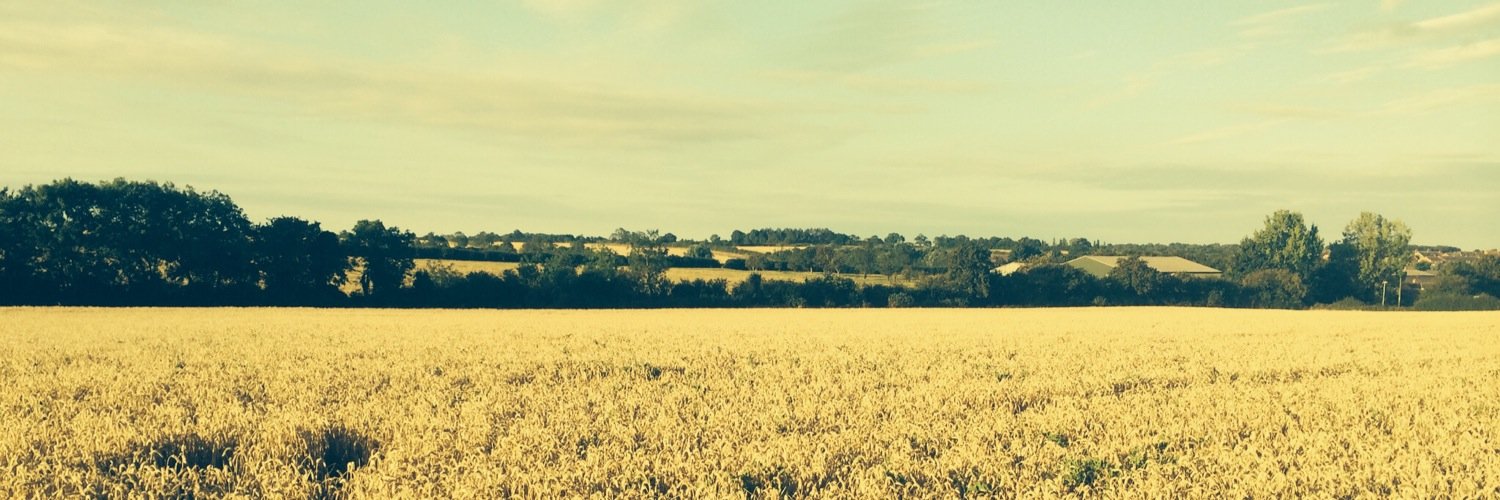 IonPlants's profile banner image