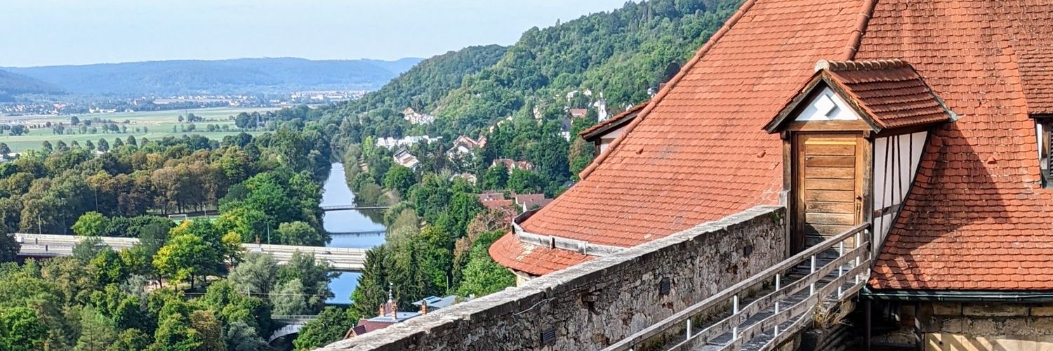 Ralph Lütticke banner