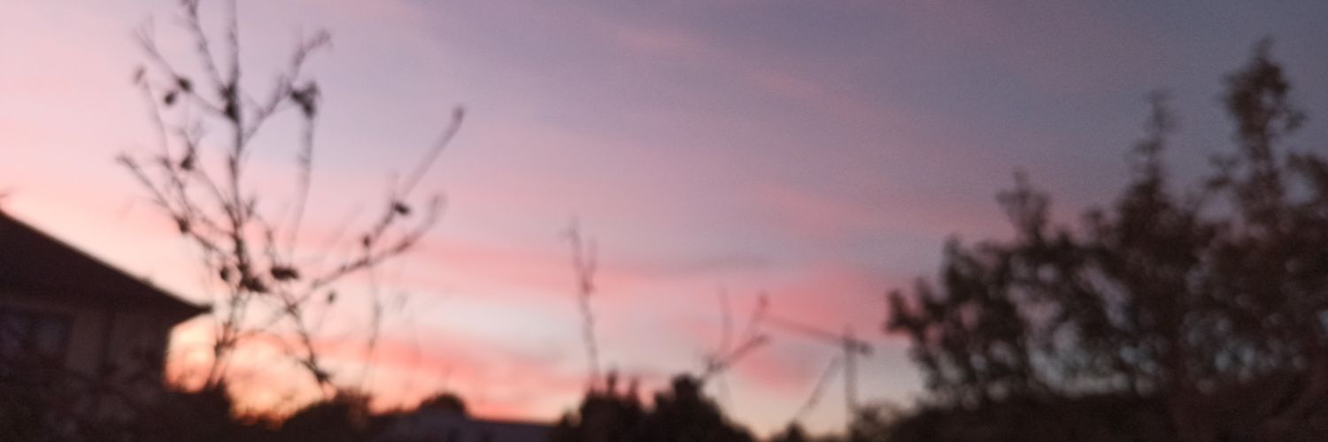 Duda_razonable's profile banner image