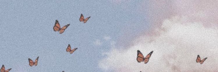juniewrighttt's profile banner image