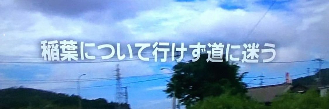 わんおっぽ banner