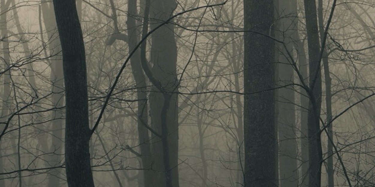 nicocdeo's profile banner image