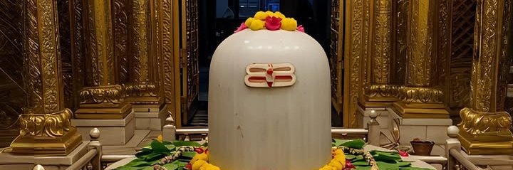 Sandeep Singh(राष्ट्रवादी हिन्दू )'s banner