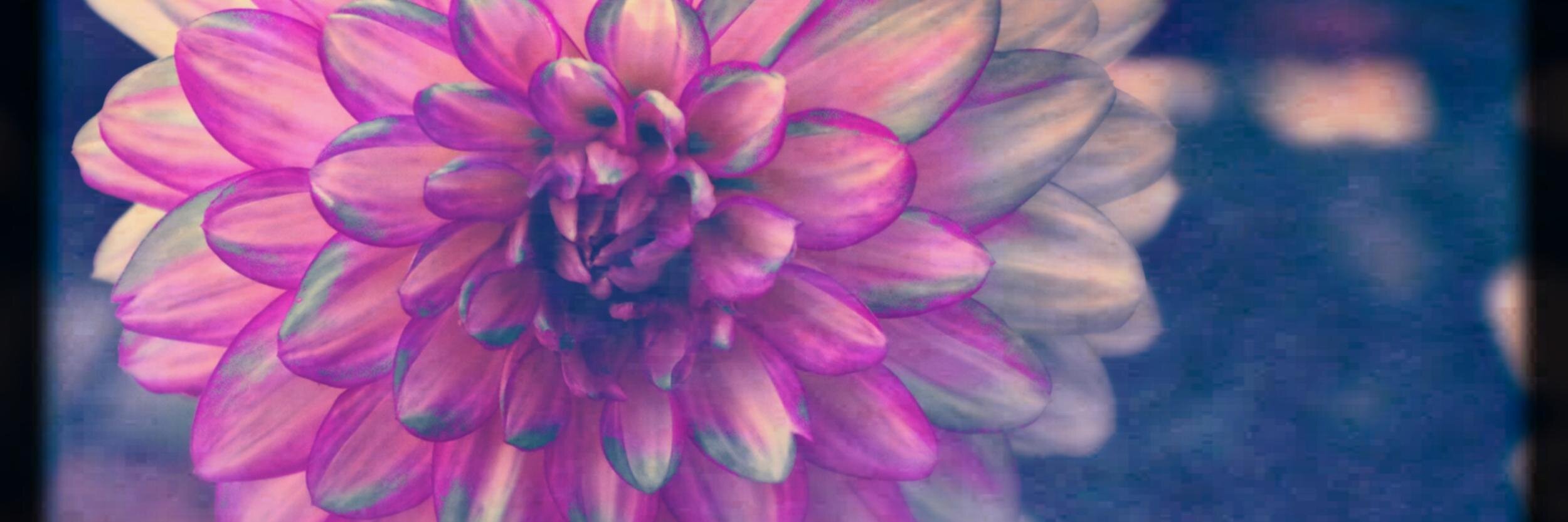Muse_Writer's profile banner image