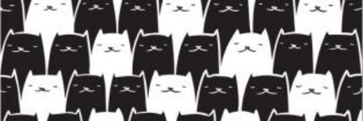 blablayana's profile banner image