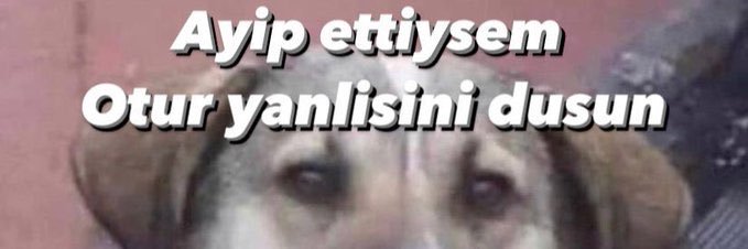 Eda banner