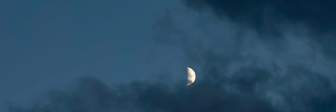 симпли мрш banner