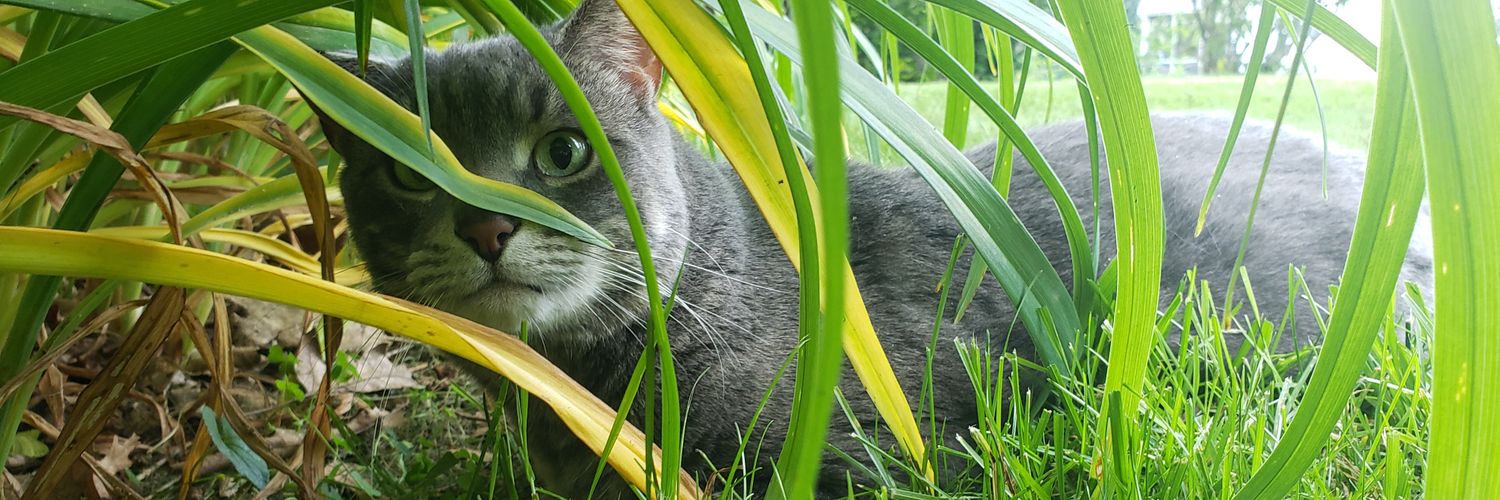 Leian918's profile banner image