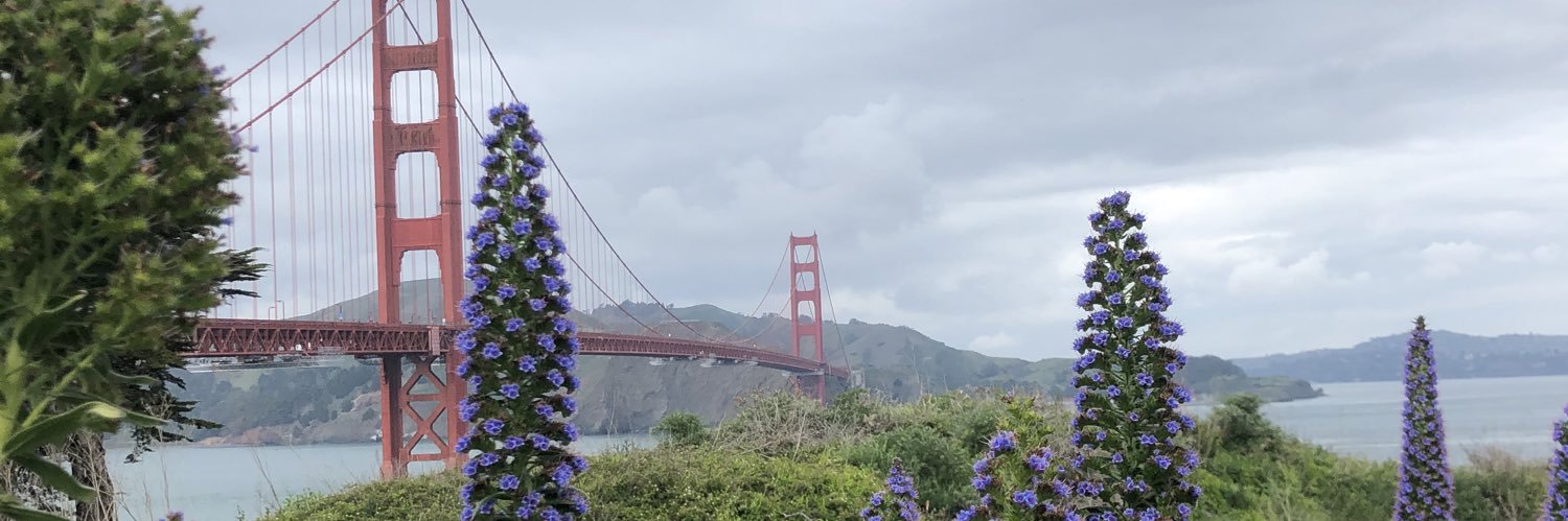 baileethellama's profile banner image