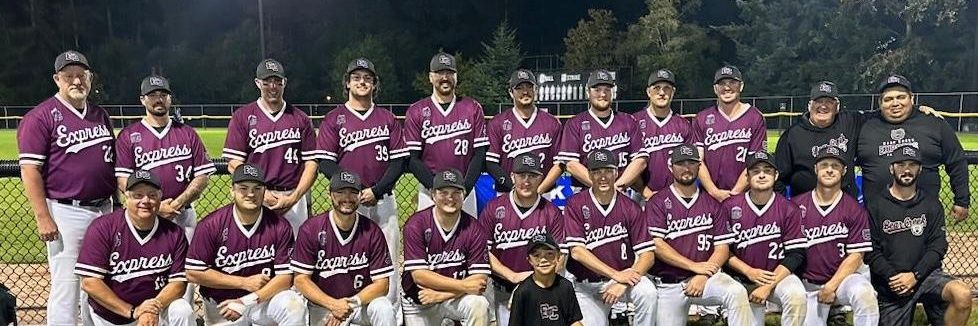 chicofastball's profile banner image
