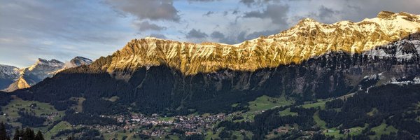 _brunalos Profile Banner