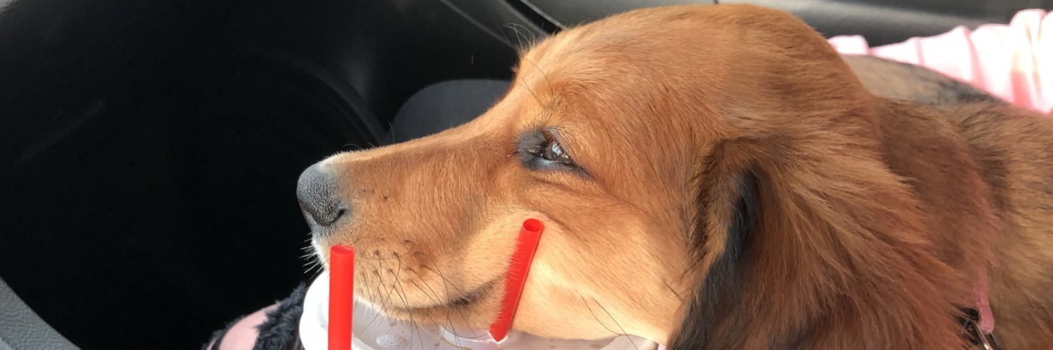 tstanley26's profile banner image