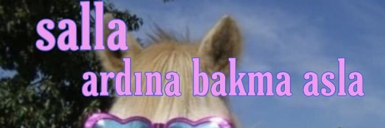 dogaavcc's profile banner image