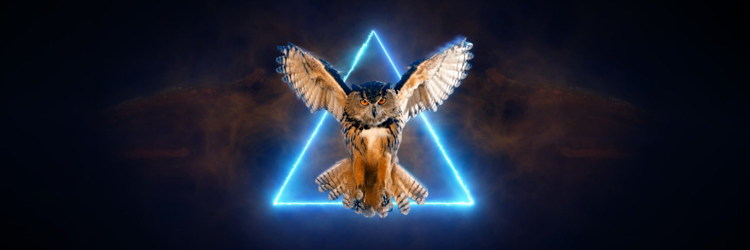 Omid Pakbin banner
