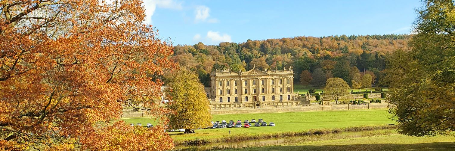 Celina Tinker banner