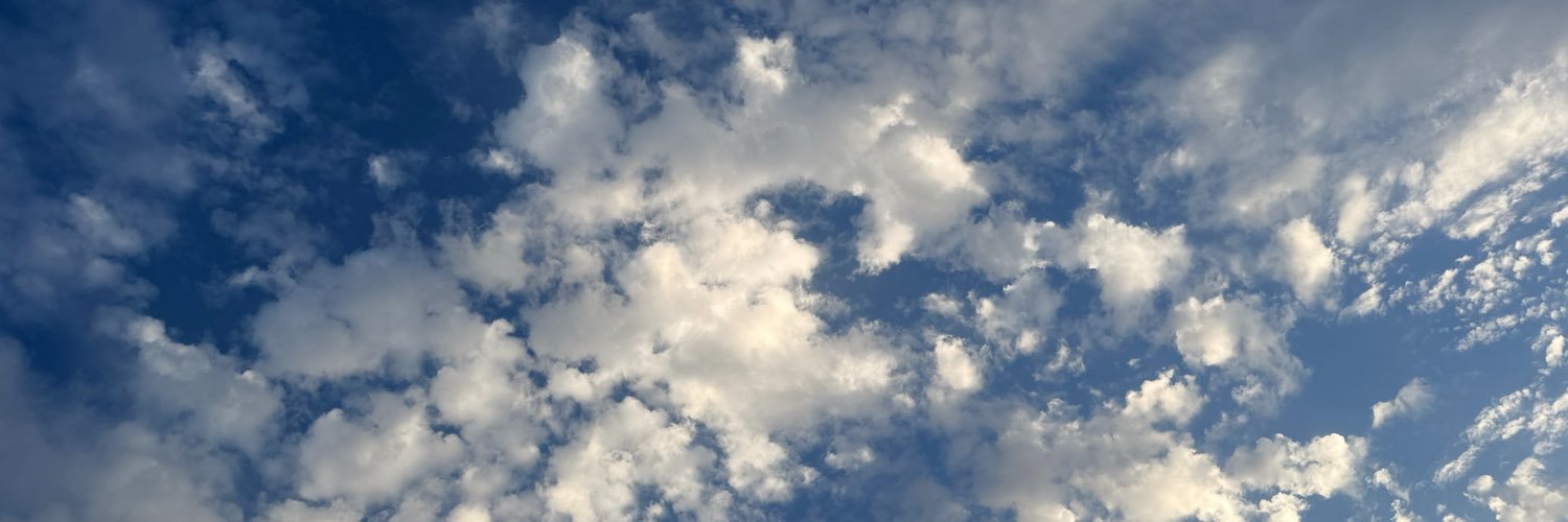 flavioosalerno's profile banner image